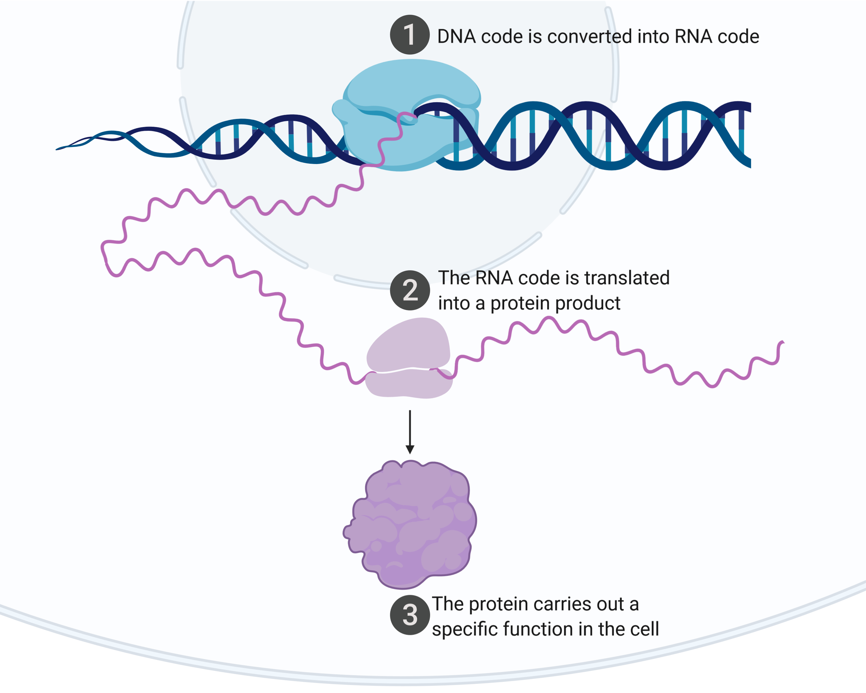 glossary-genome-sciences-centre